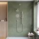 Option Brushed Nickel