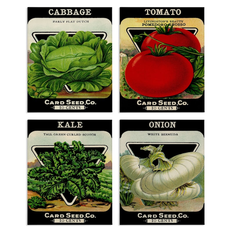 Stupell Vintage Garden Cabbage Canvas Wall Art Design By Lil' Rue (Set of 4) - 11 x 14
