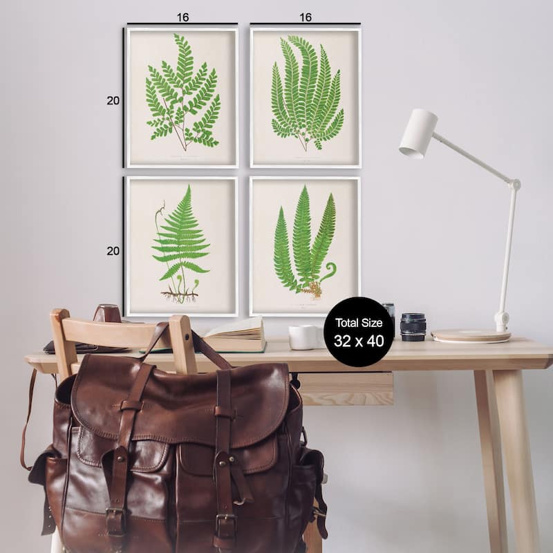 Stupell Subtle Green Fern Branches Framed Giclee Art Design By Phillipa Katz (Set of 4)