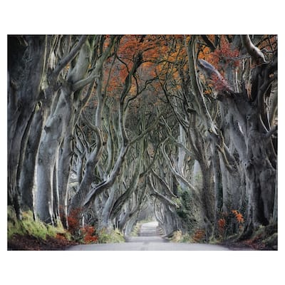 Twisted by Trevor Cole Canvas Art Print