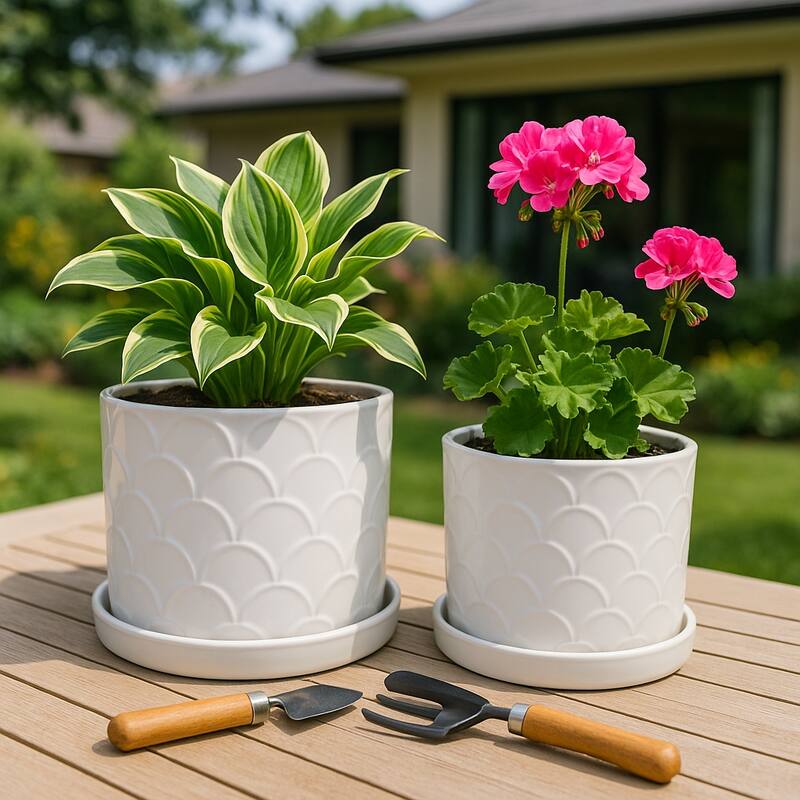Ceramic Scallop Embossed Planters - Set of 2, 12",10", White - 11.75" - 11.75" - White