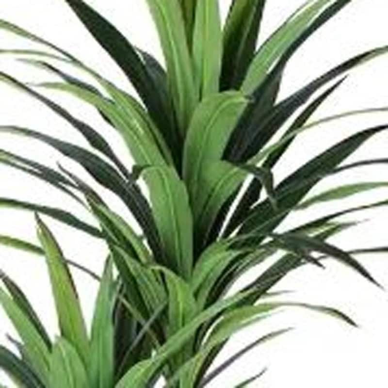 HomeRoots 79" Green Artificial Yucca Tree in a Black Pot - 7.48 in. x 78.74 in. x 7.48 in.