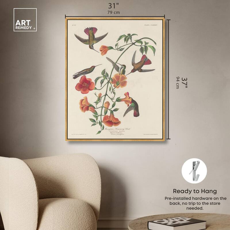 Humming Bird 1834 Canvas by Art Remedy