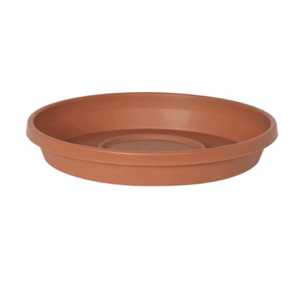 Shop Bloem SDC2046 Dura Cotta Plant Saucer, 20&quot;, Terra