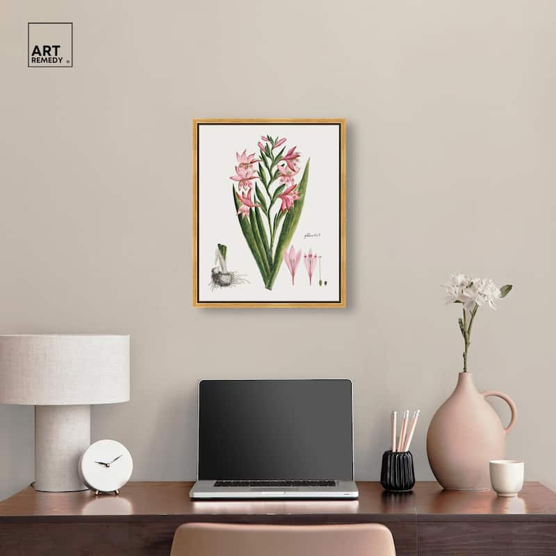 Gladiolus Carneus Canvas by Art Remedy