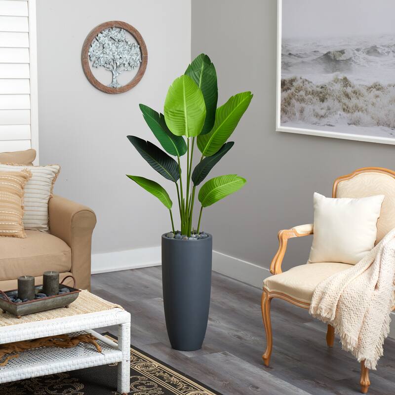 5.5' Traveler's Palm Artificial Tree in Gray Planter - Green - h: 5.5 ft. w: 28 in. d: 22 in