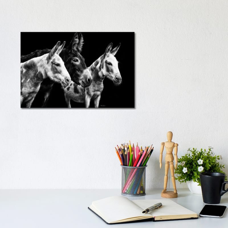 iCanvas "Donkey Portrait II" by PHBurchett Canvas Print - 8x12x0.75
