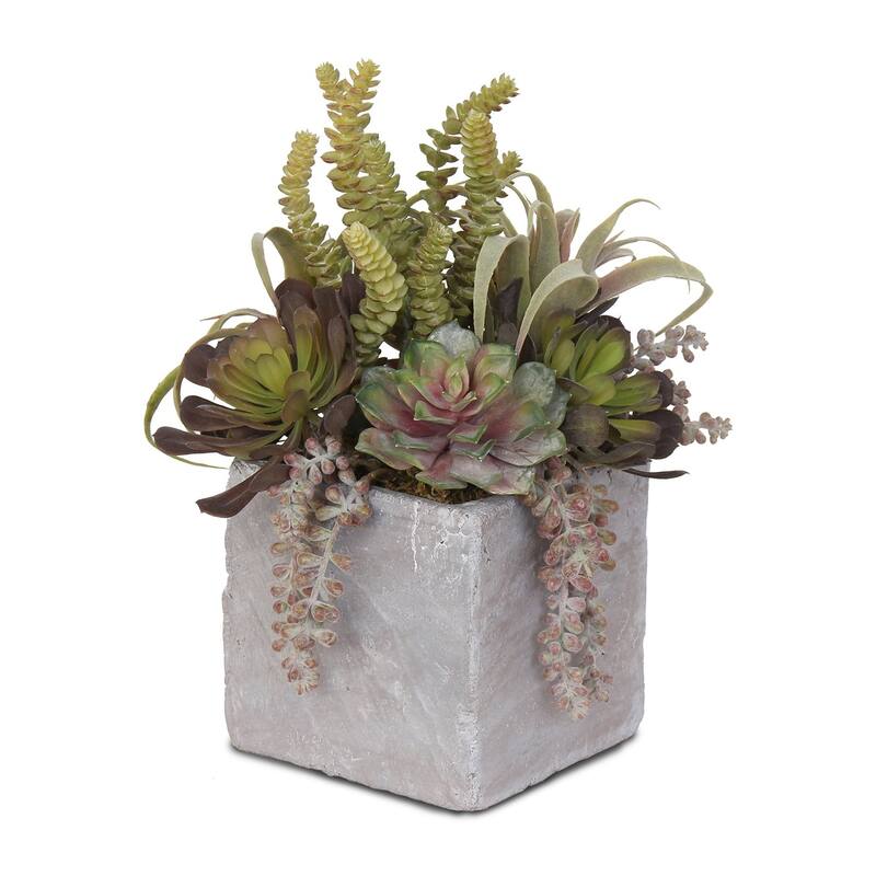 Artificial Succulents Flower Arrangement in Stone Wash Square Pot - 11W x 11D x 16H