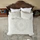 Option Ivory