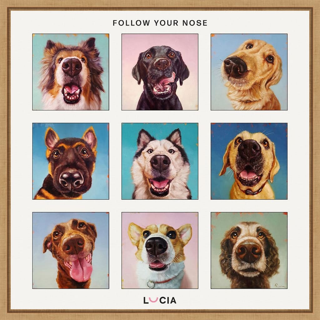 Follow Your Nose Collage by Lucia Heffernan Framed Canvas Wall Art Print - Sylvie Natural