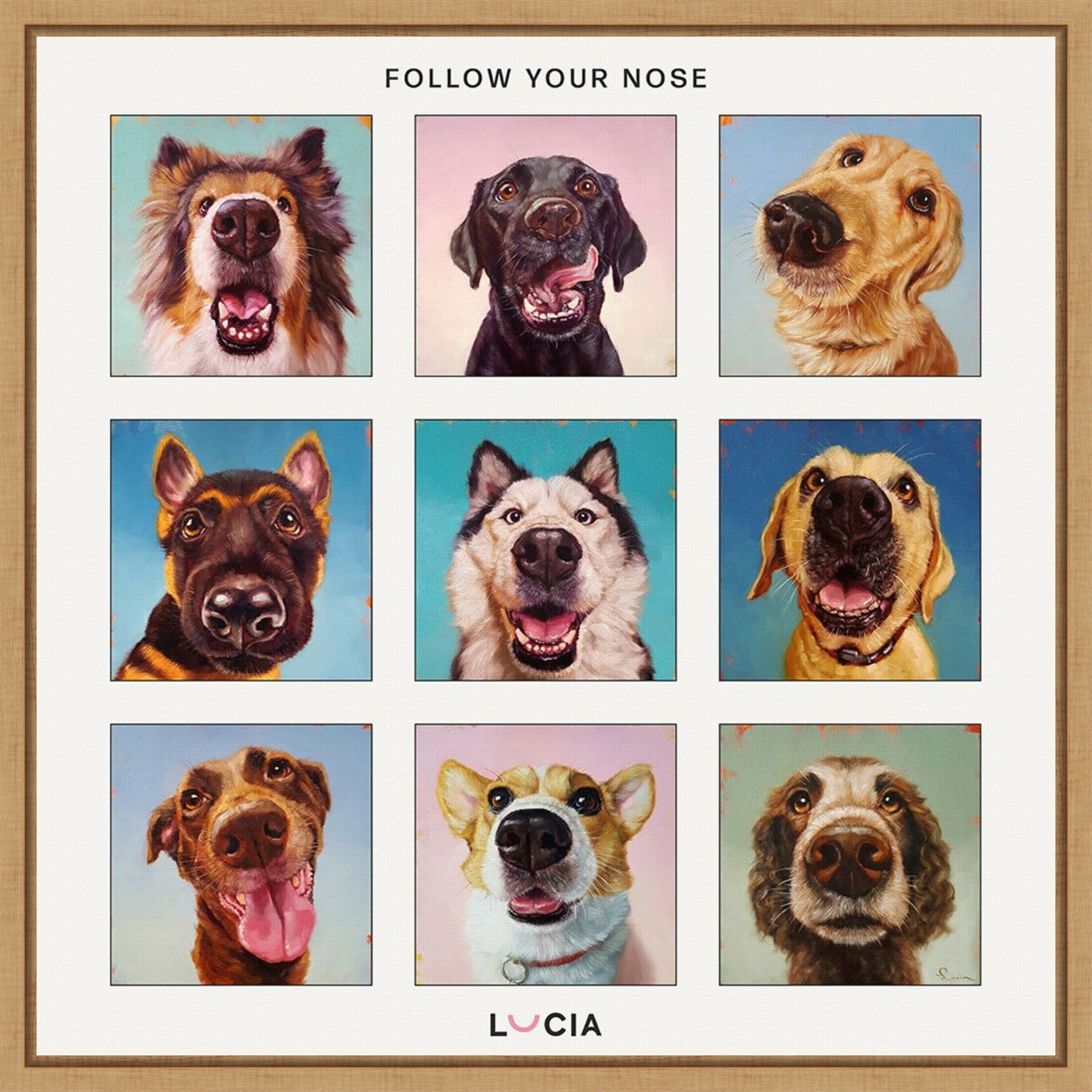 Follow Your Nose Collage by Lucia Heffernan Framed Canvas Wall Art Print - Sylvie Natural