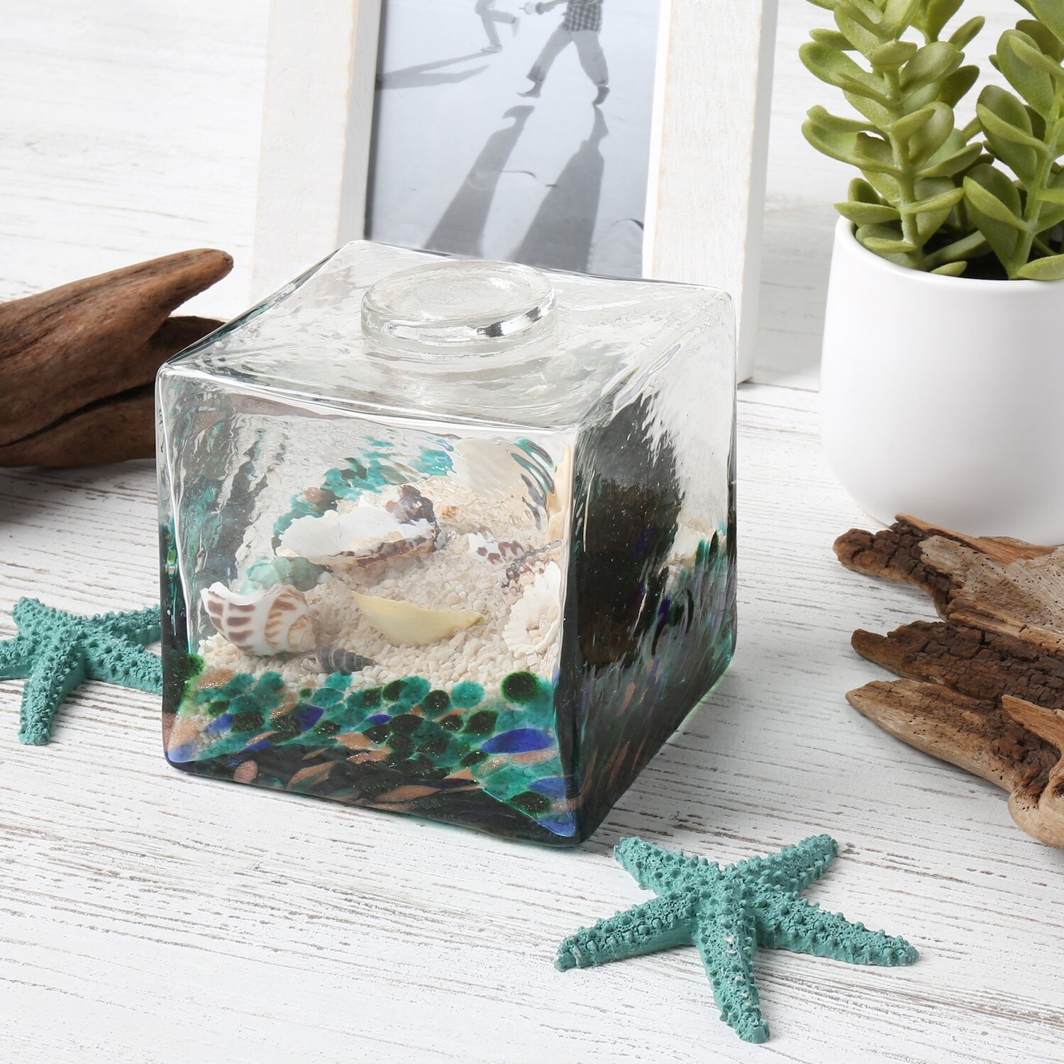 Shop Art Artifact Seashells Art Glass Cube Paperweight Beach Themed Tabletop Decoration For Home Or Office Overstock 29077978