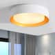 Modern Minimalist Metal Shaded Drum Flush Mount Ceiling Light