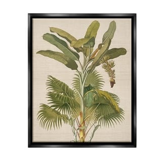 Stupell Vintage Tropical Plant Framed Floater Canvas Wall Art Design By Amber Sterling