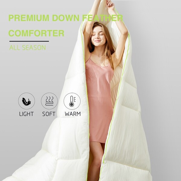 650 fill down comforter