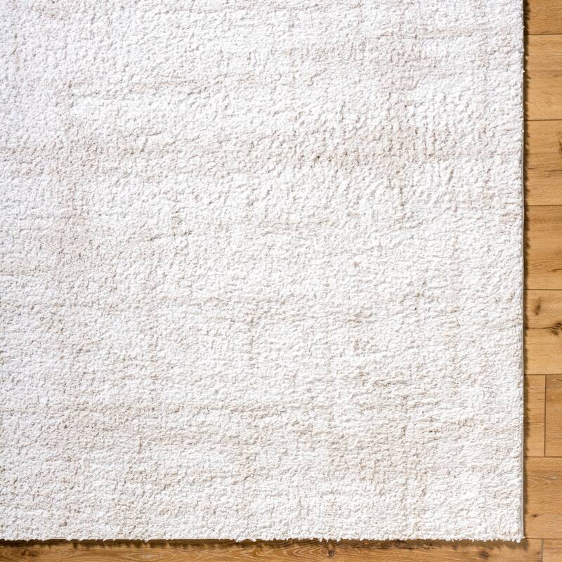 Livabliss Modern & Contemporary Sacramento Shag Ombre Area Rug