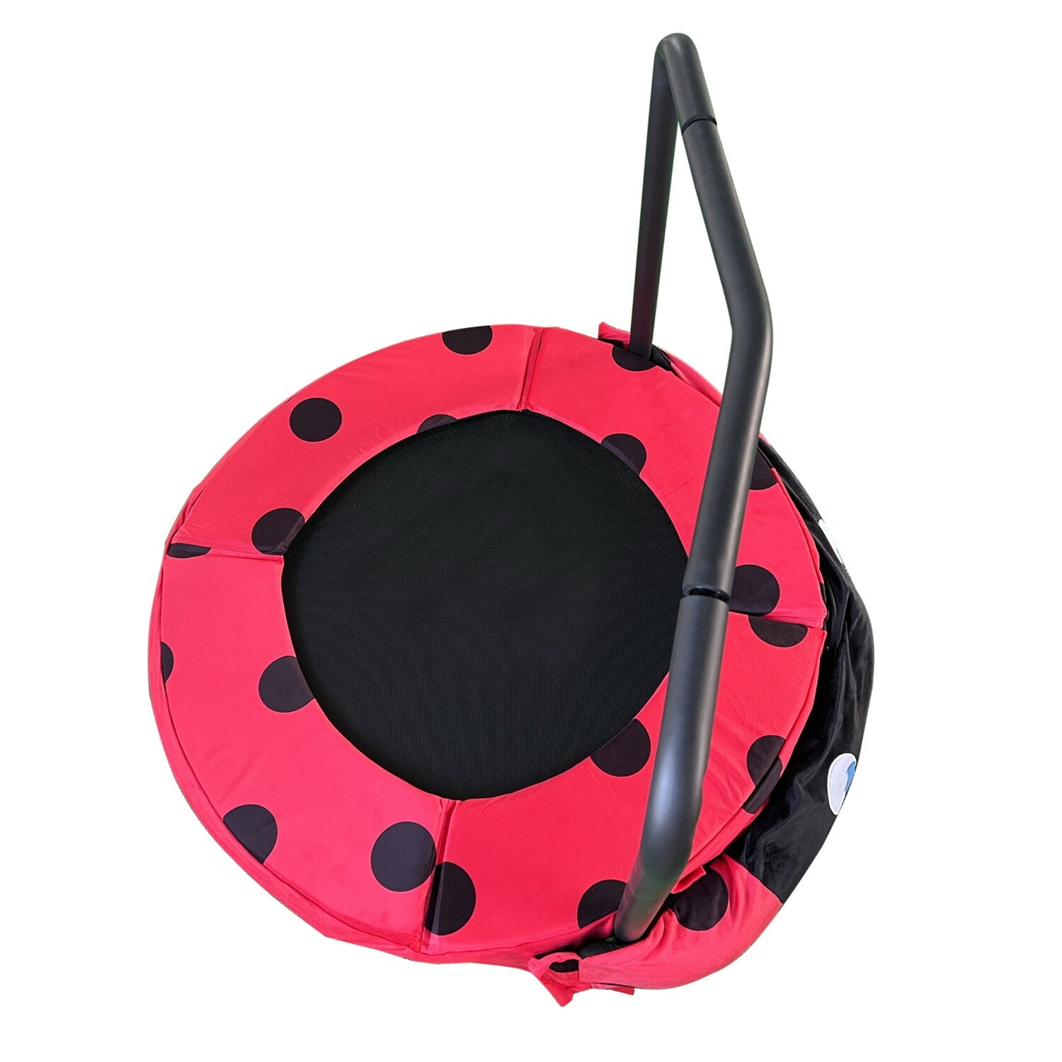 Ladybug trampoline 2025