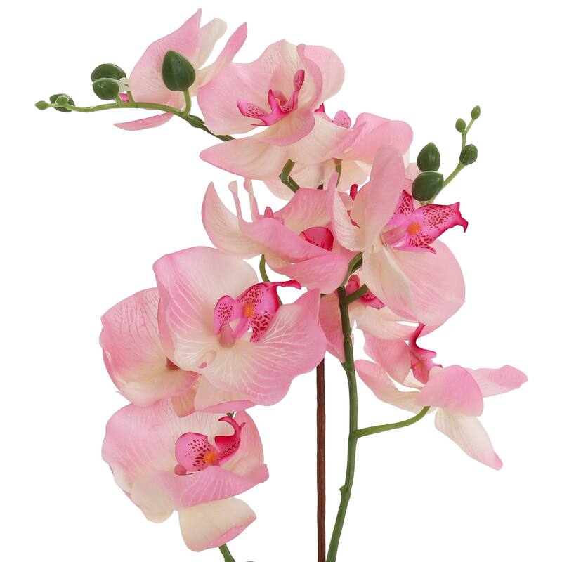 Light Pink Artificial Orchid On Sale Bed Bath & Beyond 38316885