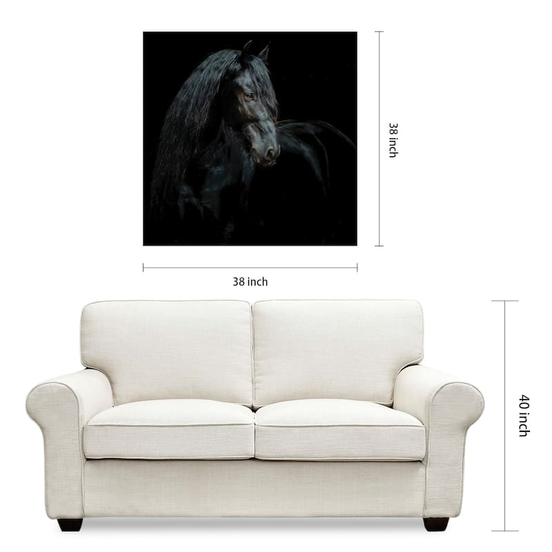 "Black Equine Attraction" Frameless Free Floating Tempered Glass Panel Graphic Wall Art