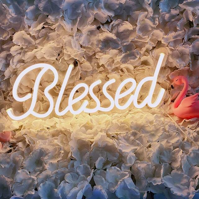 Blessed Neon Sign 5v USB Powered Neon Light with Dimmable Switch - Standard