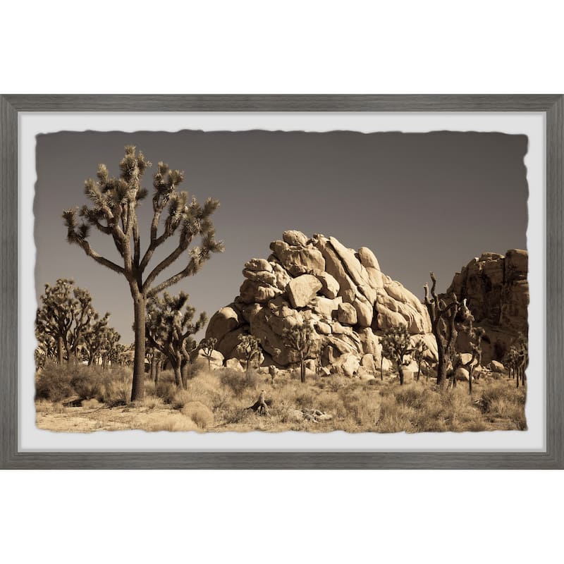 'Cactus and Rocks' Framed Painting Print