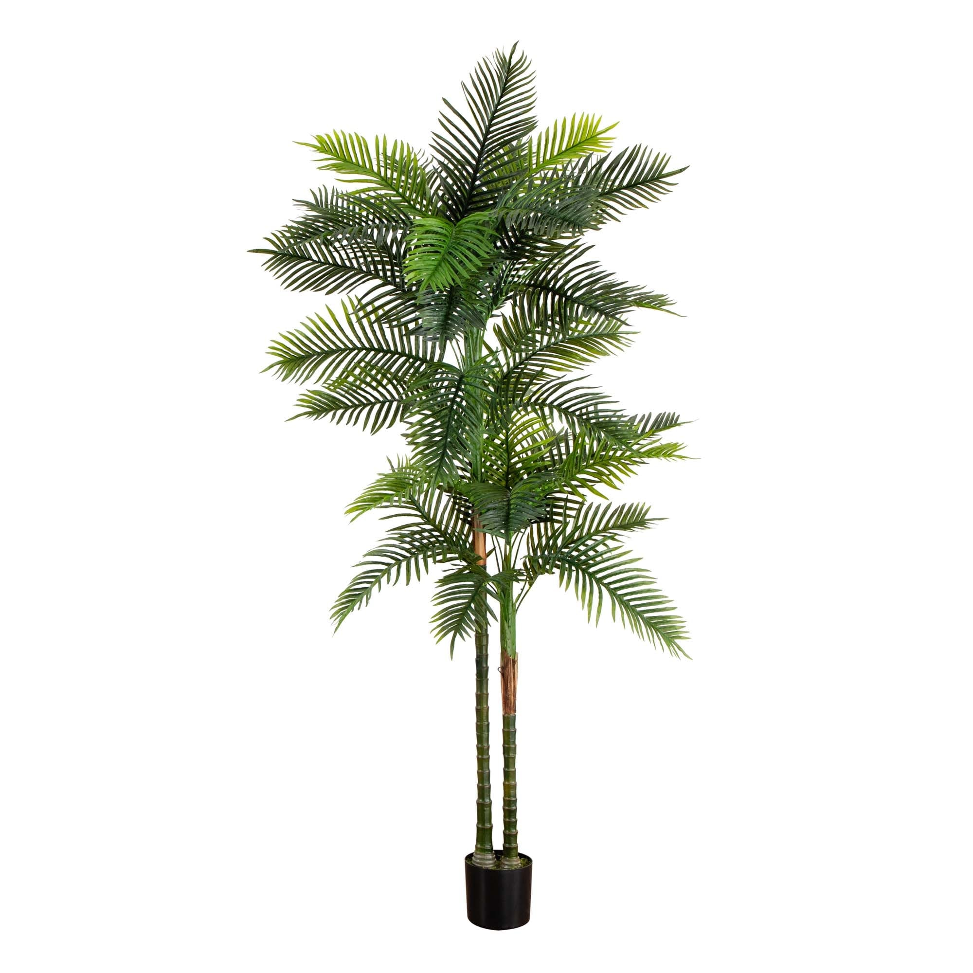 8' UV Resistant Double Robellini Palm Tree (Indoor/Outdoor) - Green