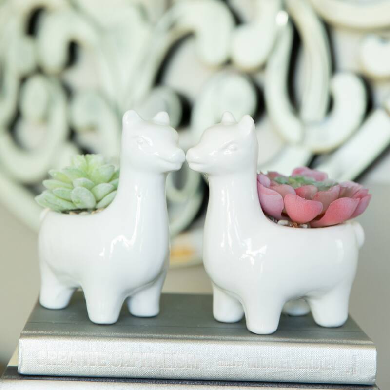 SET OF 2 Artificial Plant Succulent in 5.5" Llama Pot - ONE-SIZE