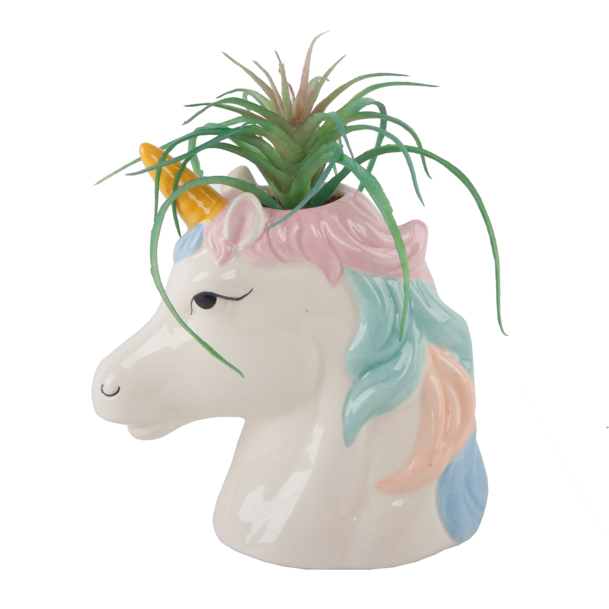 Succulent in 6" Tall Multi Color Ceramic Unicorn Pot - ONE-SIZE