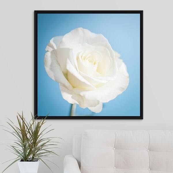 Shop White Rose On Light Blue Background Black Float Frame