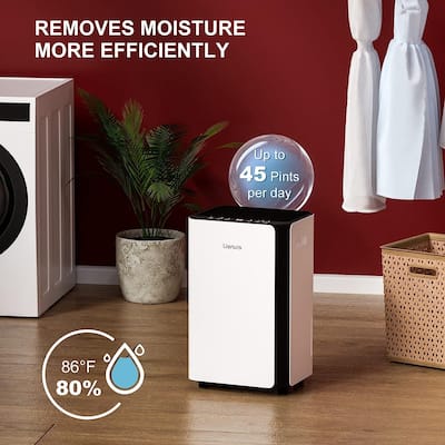 45 pt. Home Dehumidifiers in White with Drain Hose