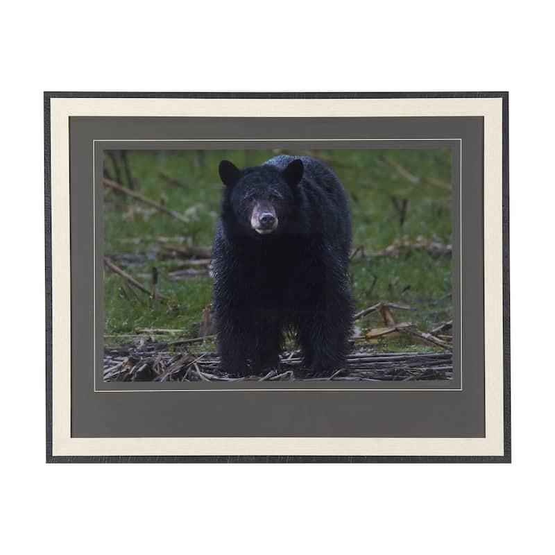 Standing Bear Framed Art Print