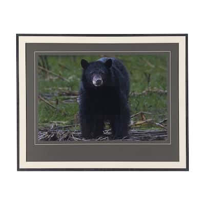 Standing Bear Framed Art Print