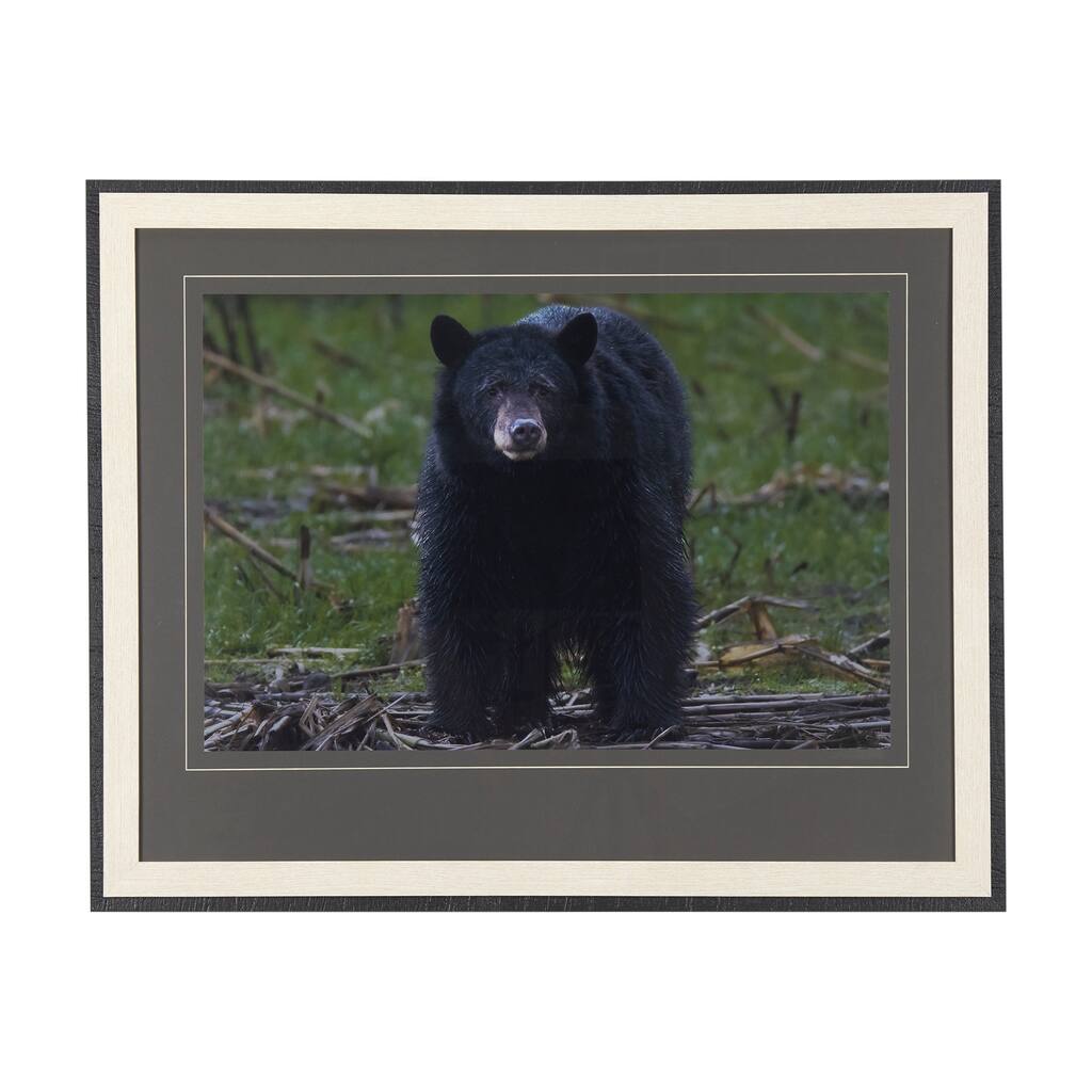 Standing Bear Framed Art Print