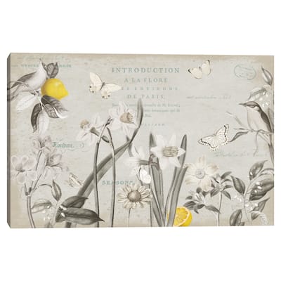 Citron Curiosities I by Katie Pertiet Canvas Art Print