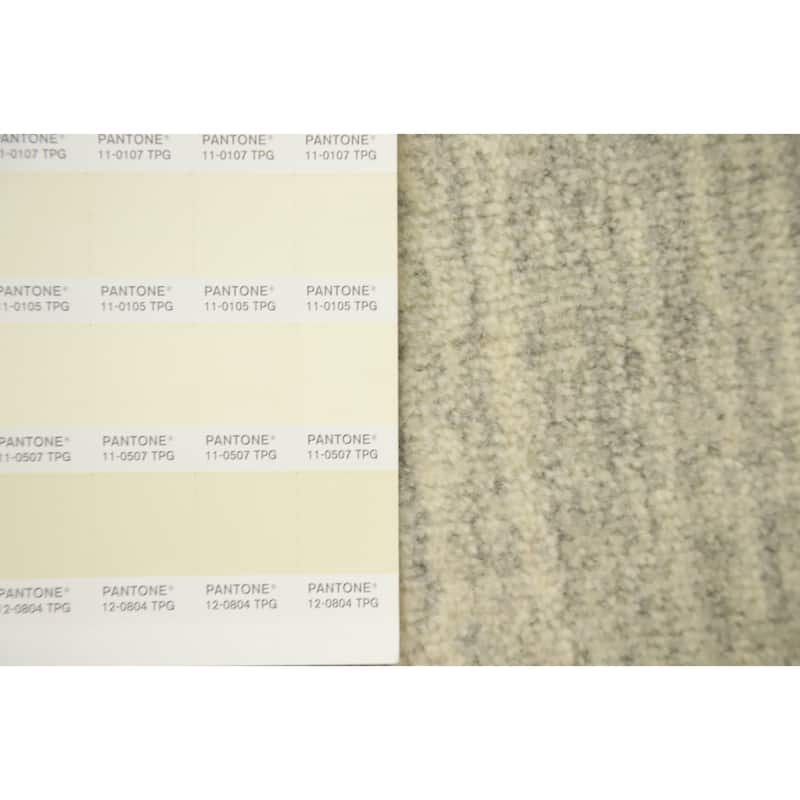 Hand Knotted Oriental 100% Wool Carpet Tribal Animal Pictorial Beige & Ivories Gabbeh Area Rug - 6' 6'' X 4' 4''
