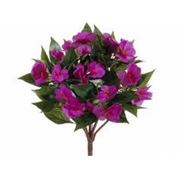 FBI633-FU 13.7 in. Guinea Impatiens Bushes Fuchia- Case of 6