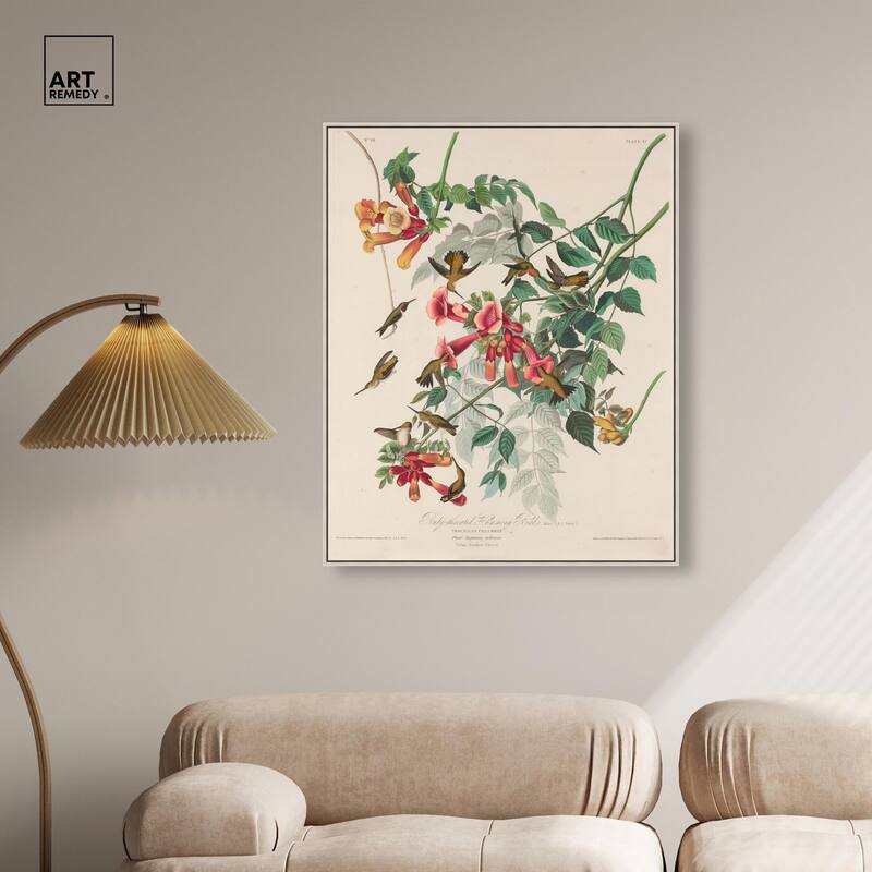 Trochilus Colubris Canvas by Art Remedy