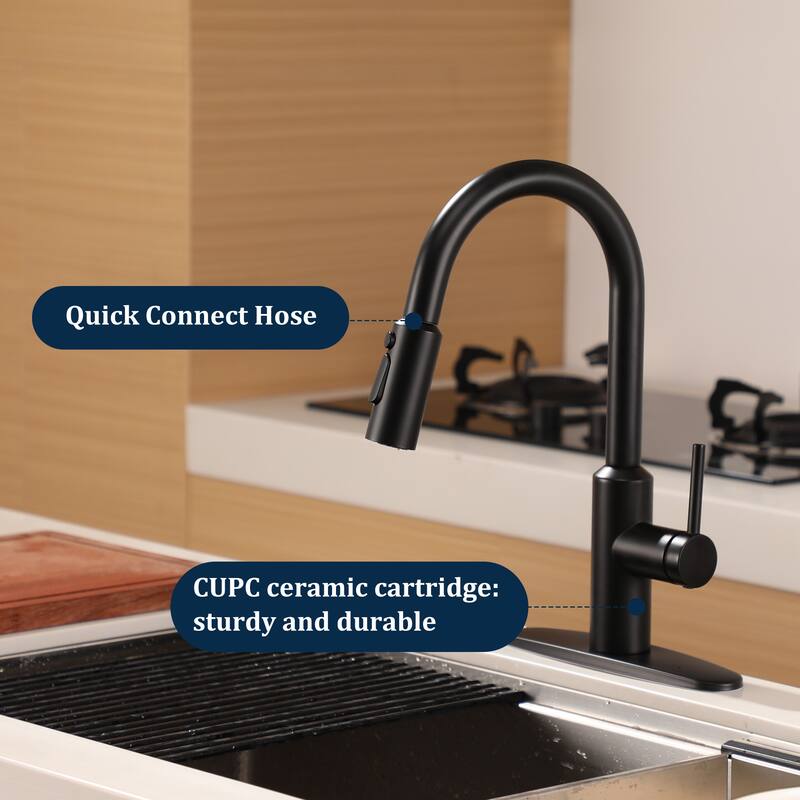 3-Function Single Handle Pull Down Sprayer Kitchen Faucet