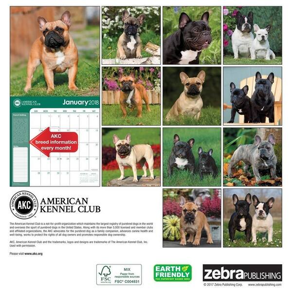 Shop French Bulldogs Akc Wall Calendar French Bulldog By Zebra