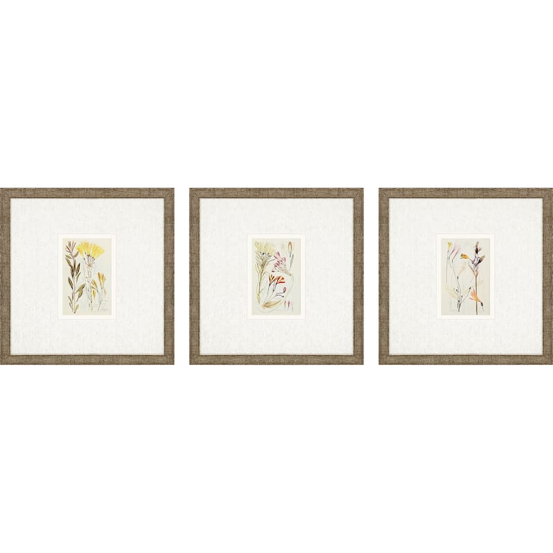 Antique Botanical II S/3 Framed Art Under Glass - Green - 13 X 13 X 1