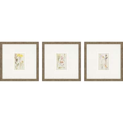 Antique Botanical II S/3 Framed Art Under Glass - Green