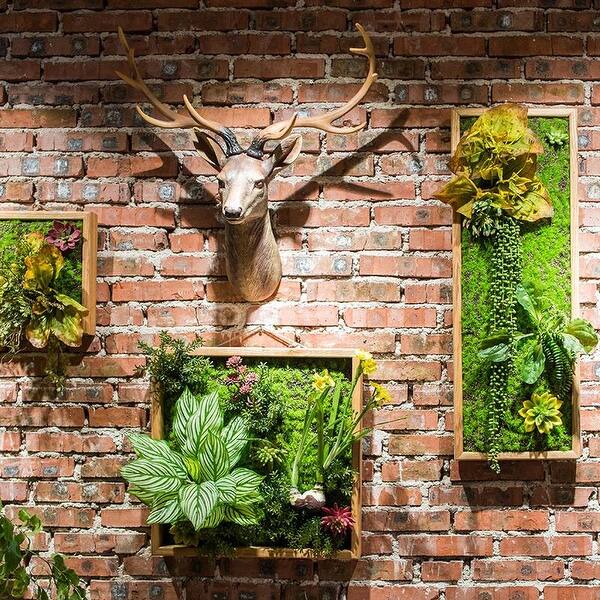 Succulent wall art