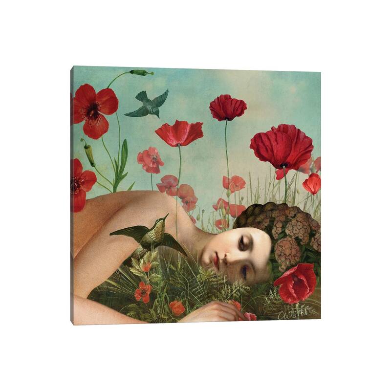 iCanvas "In The Poppy Field" by Catrin Welz-Stein Canvas Print