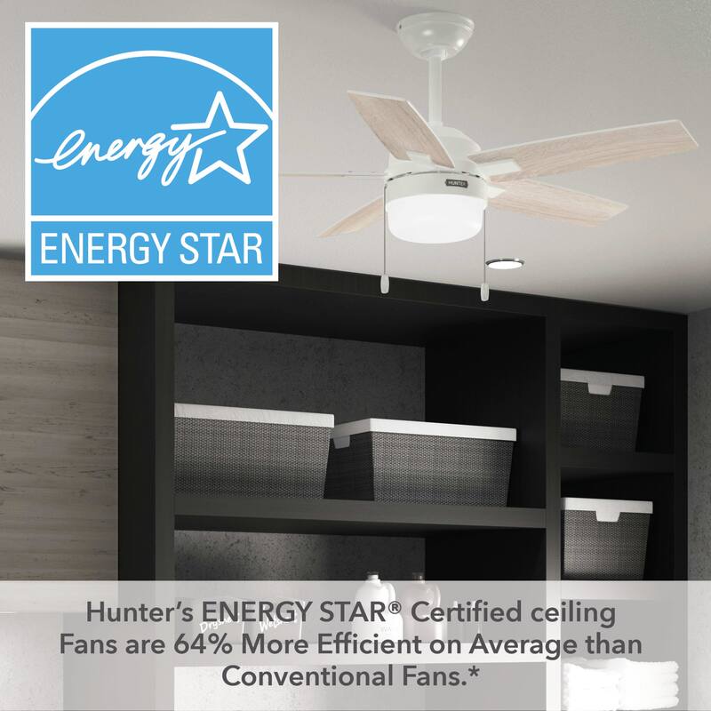 Hunter Anisten Ceiling Fan with LED Light Kit and Pull Chain - Casual Modern Contemporary - ENERGY STAR