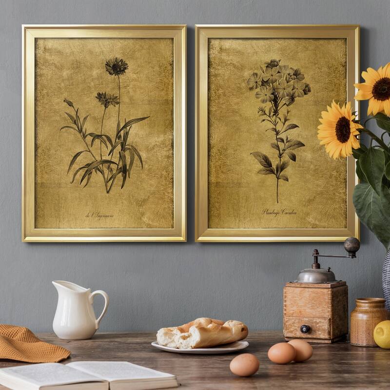 Gold Sketch Botanical I Premium Framed Print - Ready to Hang - Multi-Color