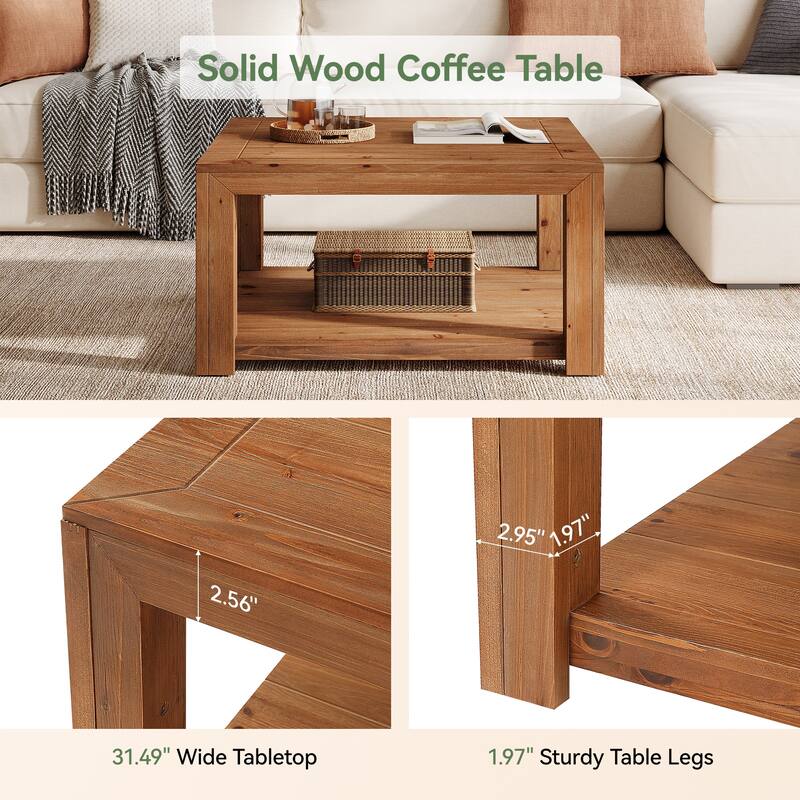 31.5-inch Coffee Table with Storage, Square Solid Wood Center Table