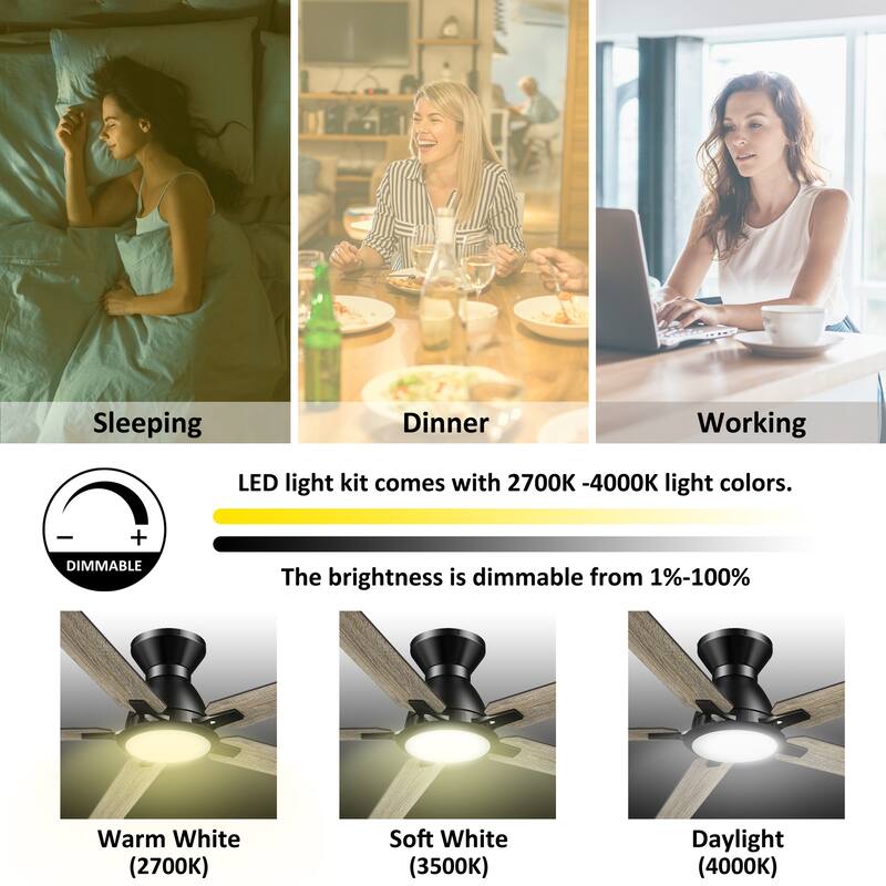 Honeywell Fan Aspen Low Profile Outdoor/Indoor Smart Ceiling Fan