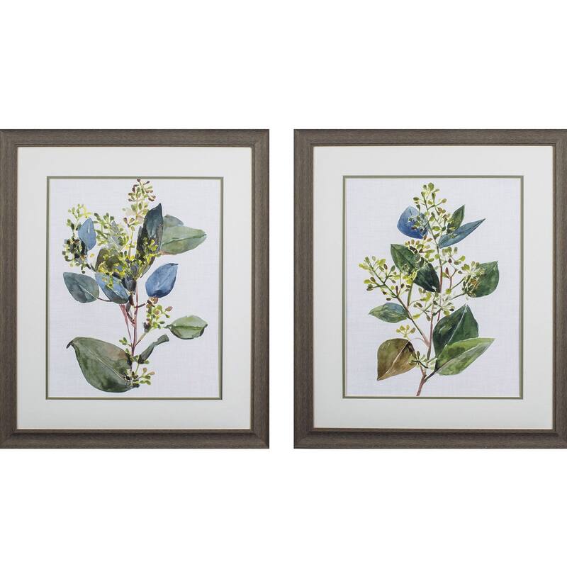 Propac Images Seeded Eucalyptus Set of 2 Wall Art - Green - 28X24X1