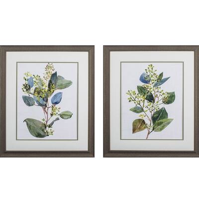 Propac Images Seeded Eucalyptus Set of 2 Wall Art - Green