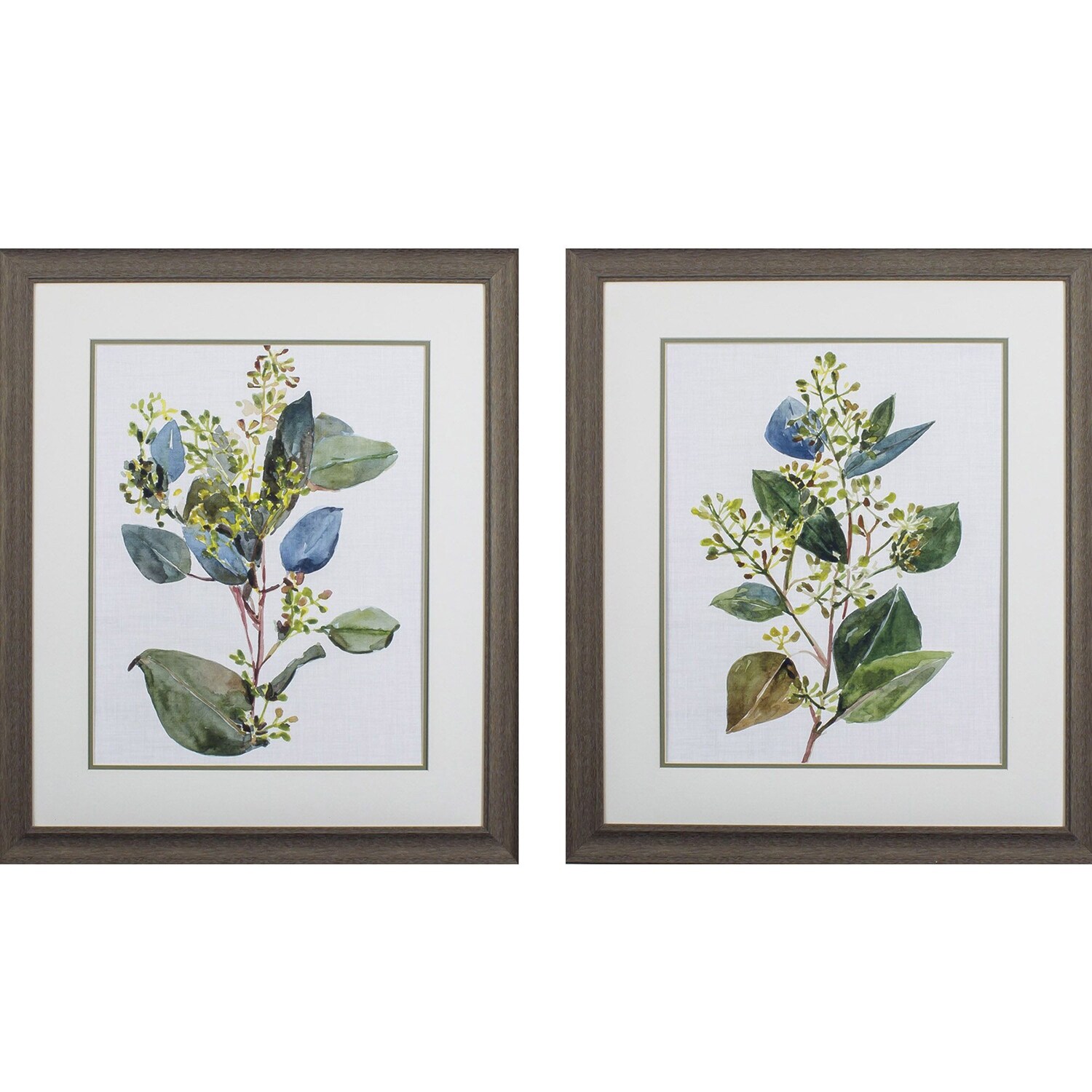 Propac Images Seeded Eucalyptus Set of 2 Wall Art - Green